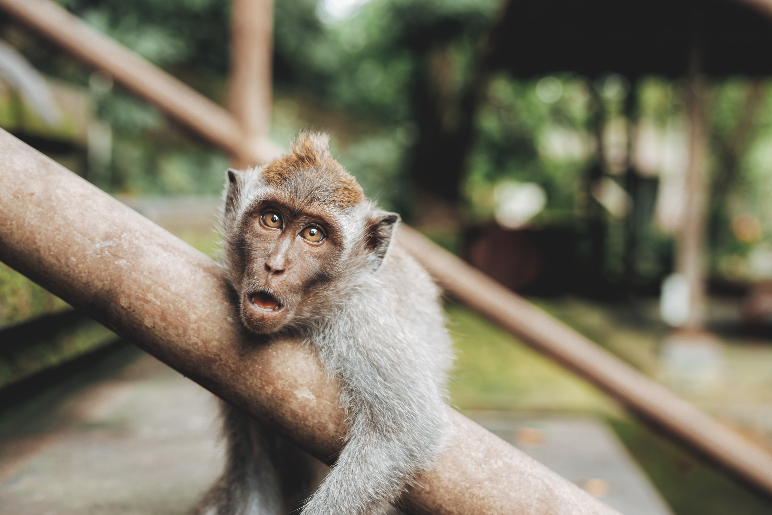 Is ruby monkey patching evil?